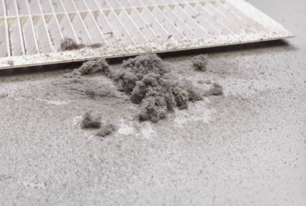Best Residential Air Duct Cleaning  in Cresco, IA