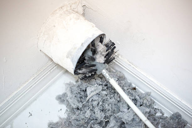 Best Air Duct Mold Removal  in Cresco, IA