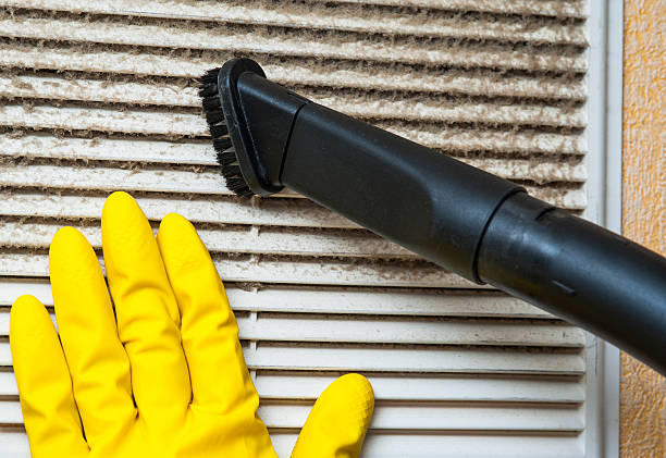 Best Dryer Vent Cleaning Services  in Cresco, IA